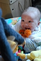 happily buried in toys